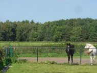 Foto van Noord-Brabant