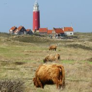 Foto van Texel